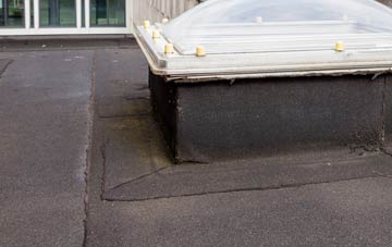 disadvantages of Rudbaxton flat roofs
