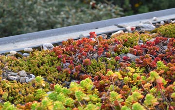 the cost of Rudbaxton green roof installation