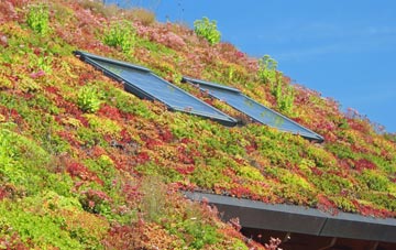 Rudbaxton living roof systems