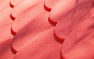 Rudbaxton plastic roof costs