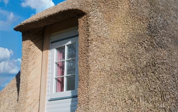 Rudbaxton thatch roof disadvantages