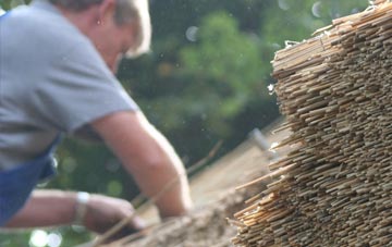 professional Rudbaxton thatchers