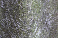 Rudbaxton fibreglass roof work